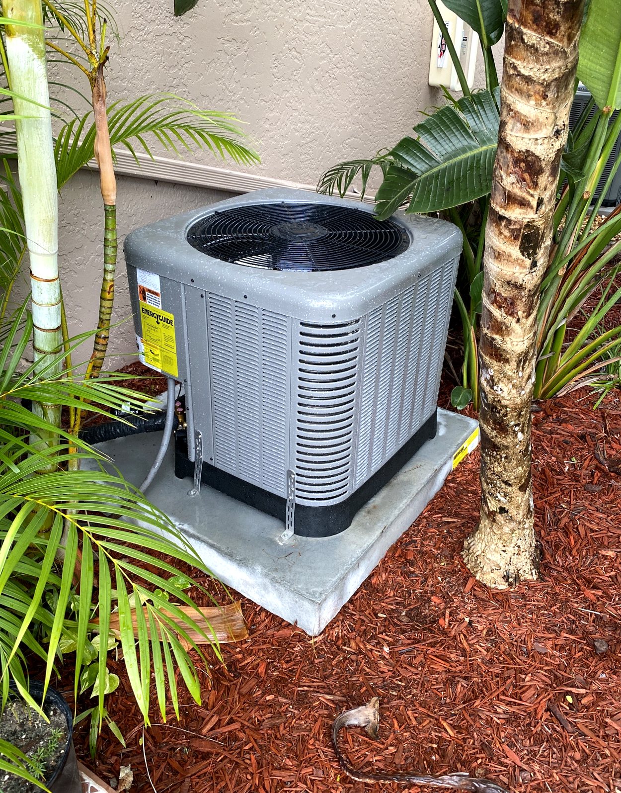 New Ruud condenser installed on a pad in a landscaped bed with palms.